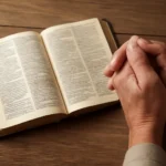 Bible quotes about life: 50 versículos bíblicos para vivir con propósito bible quotes about life