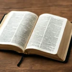 Biblia Amplificada: guía para entender y estudiar con claridad biblia amplificada