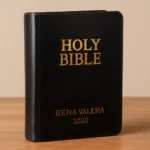 biblia reina valera 1960 en ingles