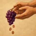 Frutos de arrepentimiento en la Biblia: significado, ejemplos y cómo cultivarlos frutos de arrepentimiento biblia