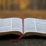 Reflexiones sobre Pentecostés y el Espíritu Santo reflexiones-sobre-pentecost-s-y-el-esp-r