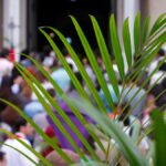 Tradiciones de Semana Santa: El significado de no comer carne 20250408 PORTADA - 1
